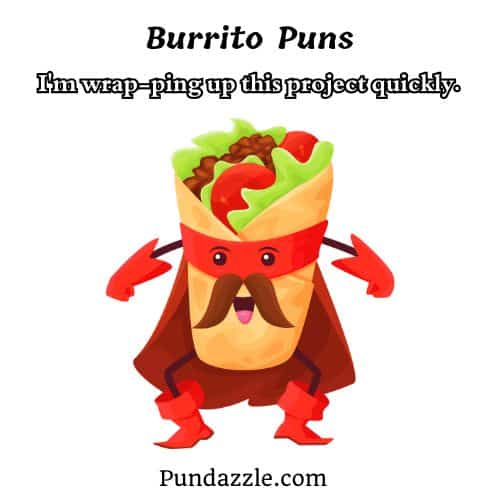  Burrito Puns 