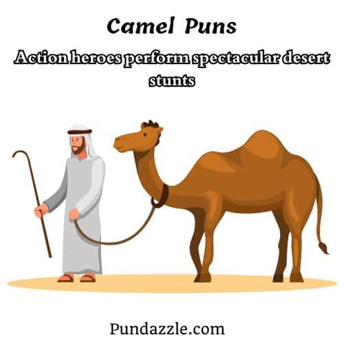  Camel Puns