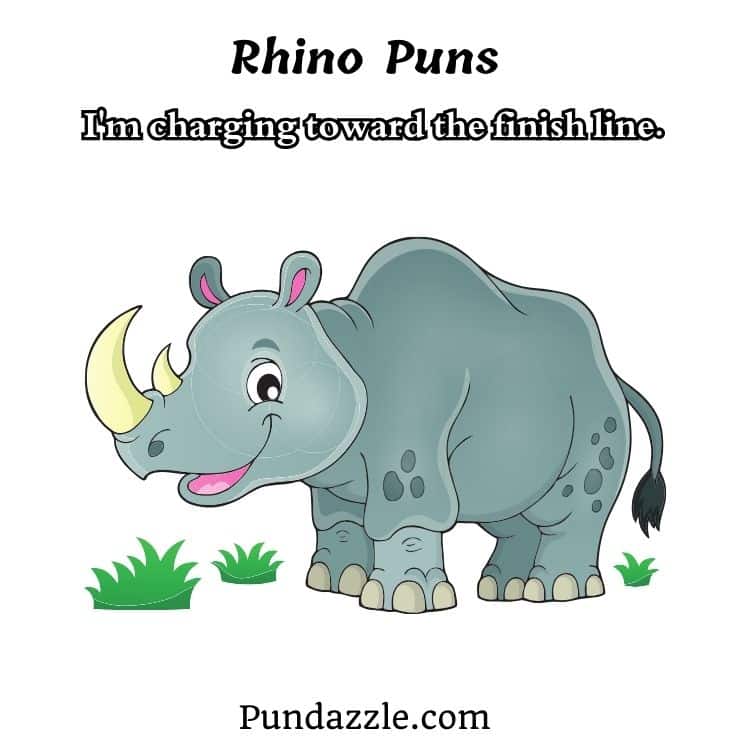 Rhino Puns