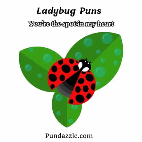 Ladybug Puns