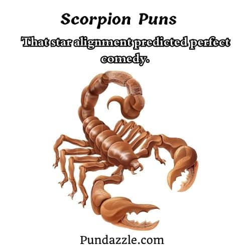 Scorpion Puns 