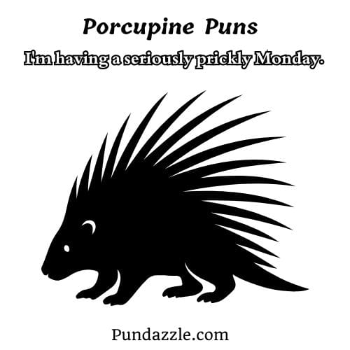 Porcupine Puns
