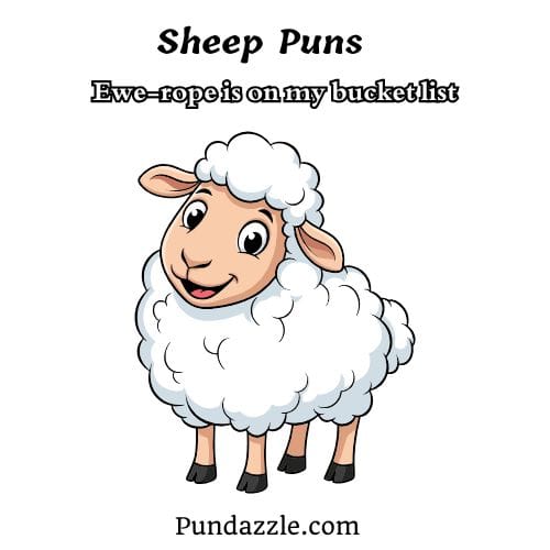 Sheep Puns 